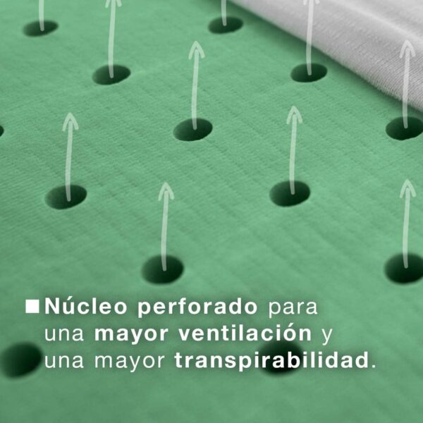 Almofada Viscoelástica 75 cm Adaptável e Transpirável ViscoSoja Kuo Dream 100% Óleo de Soja