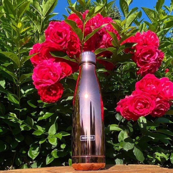 Garrafa Térmica Nerthus FIH 595 Parede Dupla Inox 750 Ml Design Ouro Rosa