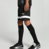 (M) Calções PUMA individualRISE Malha Homem Preto e Branco