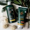 Condicionador Brilho Logona Natural Cosmetico Arganöl Bio 200 Ml