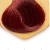 Tinta Permanente para Cabelo - Em Gel Vermelho Intenso 67 100 Ml