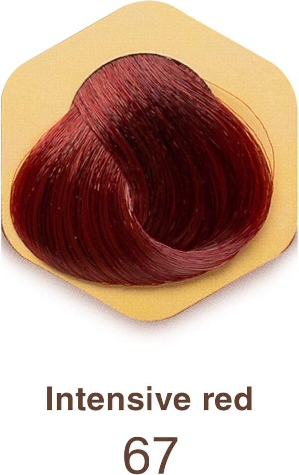 Tinta Permanente para Cabelo - Em Gel Vermelho Intenso 67 100 Ml