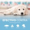 Eliminador de Maus Cheiros Urina vómito e fezes para Cães 100ml