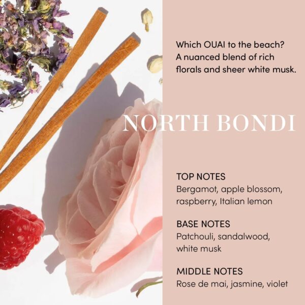 Espuma de Cabelo OUAI Air Dry Foam – Ondas Naturais “Beach Waves” sem Calor