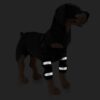 (M) Suporte de ombro cão artrite refletivo braçadeira da perna dianteira