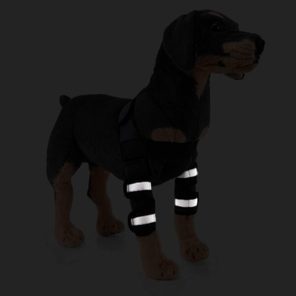 (M) Suporte de ombro cão artrite refletivo braçadeira da perna dianteira