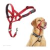 Coleira de Treino Ajustável HALTI para Cães Médios (Tamanho 3) Vermelha