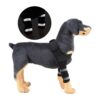 (M) Suporte de ombro cão artrite refletivo braçadeira da perna dianteira
