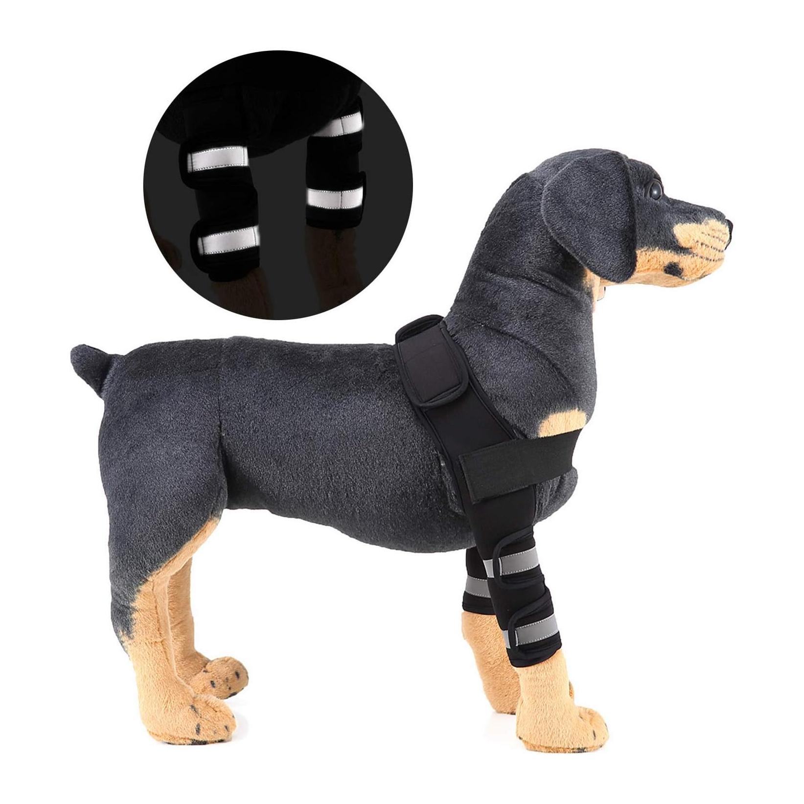 (M) Suporte de ombro cão artrite refletivo braçadeira da perna dianteira