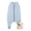main_B097C8R1VC_22_130326 (80 cm / 2 Anos) Pijama com Pés Molis&co 100% Oeko-Tex 100 Blue Garden