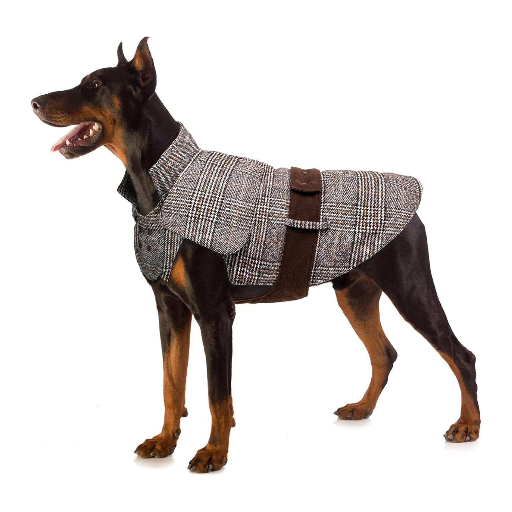 (5XL) Casaco para Cães Médios e Grandes Buddypuppy  com Correia Ajustável