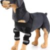 (M) Suporte de ombro cão artrite refletivo braçadeira da perna dianteira