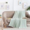 (180x240 cm) Manta de Algodão Extra Suave Verde Mint Todocama