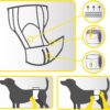 (M 40-50cm) 12 Fraldas Descartáveis Croci Dog Antiolor para Cães Machos