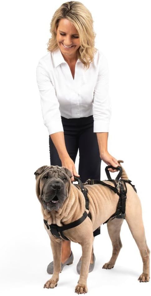 Arnês de Apoio Cães M Pet Safe