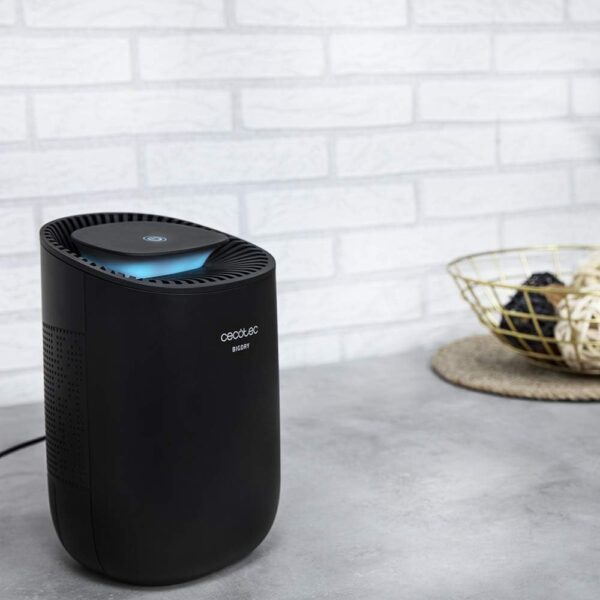 Desumidificador Elétrico Cecotec BigDry 2000 Light Black 23 W Silencioso 300 ml/dia Depósito 0,6 L