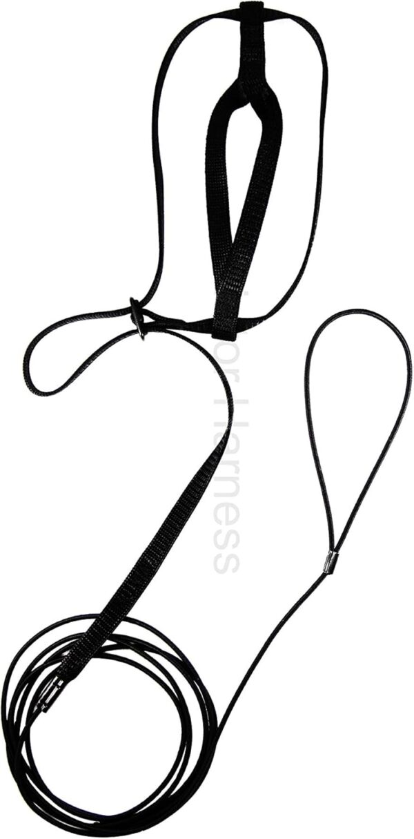 Arnês para Papagaio /Aves Pequeno Preto