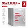 Suplemento Alimentar NAD+ 10000mg Zozone com Resveratrol - 40 Stickpacks
