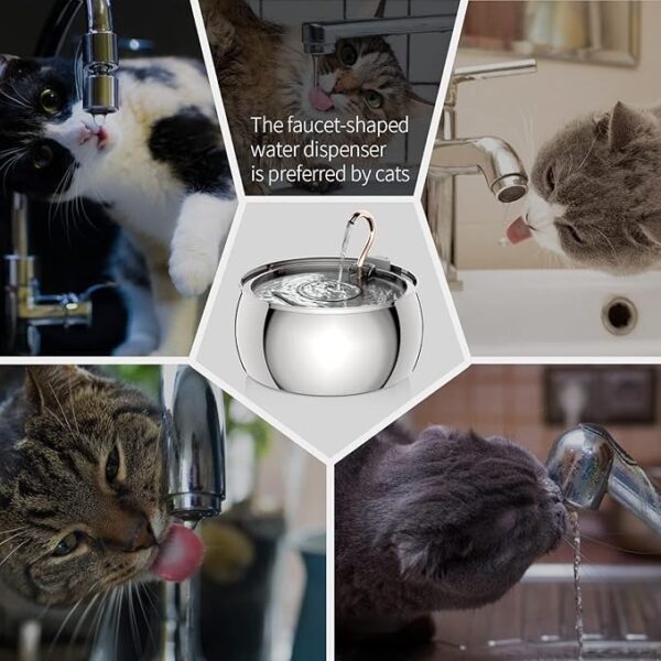 F126X3047_paste_1780586899173_5 Fonte de Água para Gatos Aço Inoxidável 4L Silenciosa TOMXCUTE PET-0007