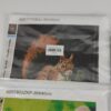Conjunto 3 Kits de Pintura Diamante DIY com Animais e Paisagem Colorida