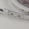 Pack 4 Rolos de Fita de Led Rgbw 5 M Adesivo