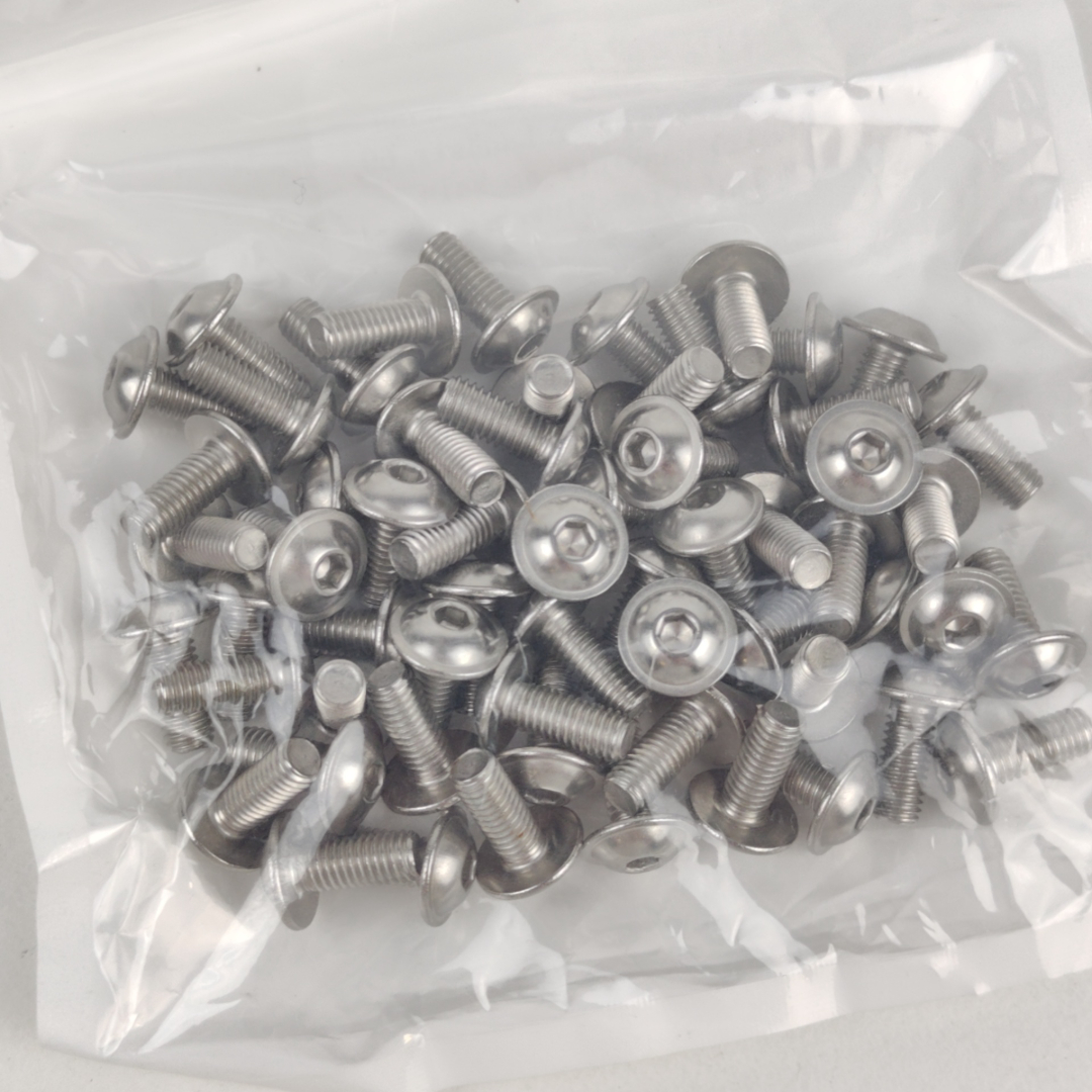 Pack de Parafusos M5x12mm Cabeça Lenticular Inox