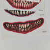 Tatuagens Temporárias Maquilhagem Efeitos Dentes de Vampiro