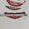 Tatuagens Temporárias Maquilhagem Efeitos Dentes de Vampiro