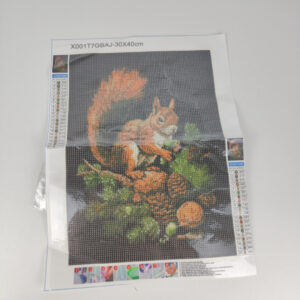F126X3881_1782471248056_0 Kit Pintura Diamante Esquilo 30x40 Cm