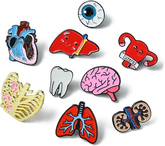 Pins de Esmalte Criativos Órgãos Humanos Médicos DanLingJewelry Conjunto de 9 Peças