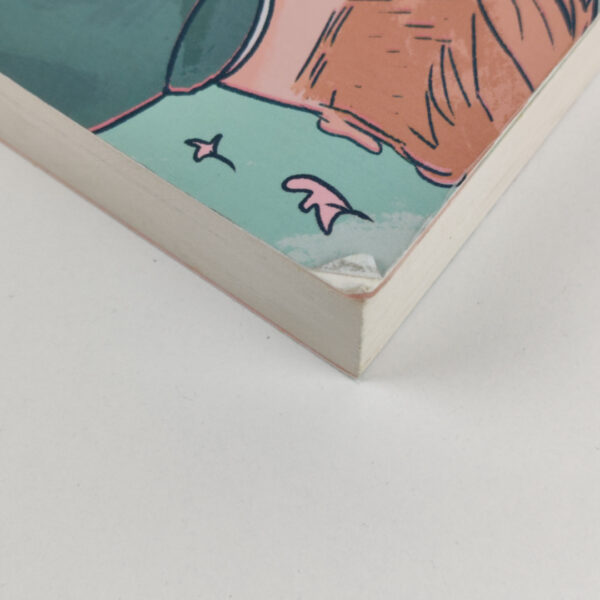 Livro Banda Desenhada Heartstopper Volume 1 Inglês - Alice Oseman