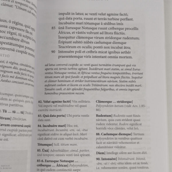 Livro Aeneis (Latim) - Publii Vergilii Maronis