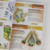 Livro Guia Pokémon Super Extra Delux Guia Essencial Definitiva (Espanhol) - Montena