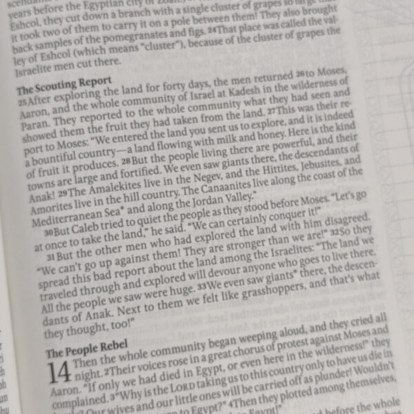 F126X4041_1782600425154_6 Livro Bíblico Inspire Prayer Inglês - Tyndale