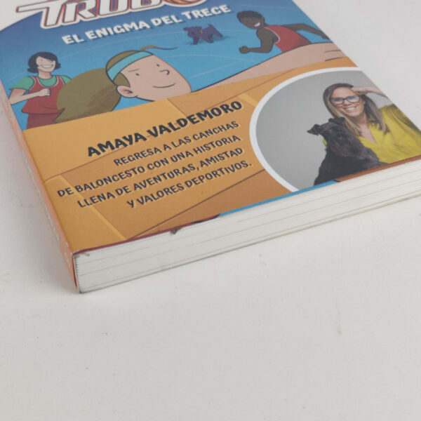 Livro Juvenil Los Trugos: El Enigma Del Trece Espanhol - Amaya Valdemoro e Nora Bucket