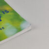 Livro Autoajuda Mind Power Is Money Inglês - Edric Ettienne